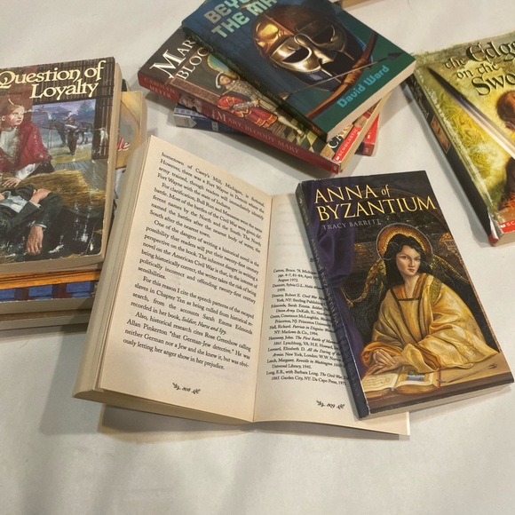 Set of 15 Historical Fiction YA Novels Teen Bulk History Drama Chapter Books - Picture 11 of 14